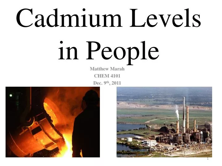 cadmium levels in people