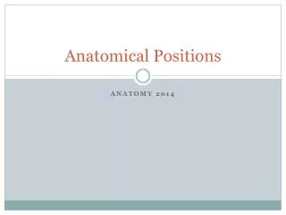 Anatomical Positions