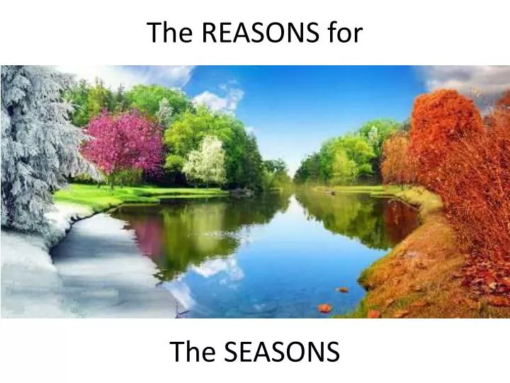 the reasons for