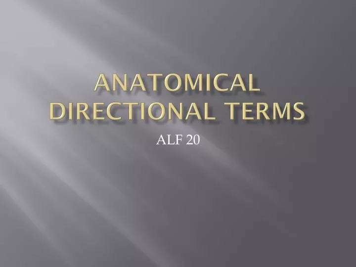 anatomical directional terms