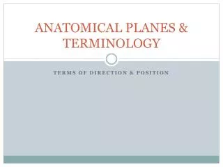 ANATOMICAL PLANES &amp; TERMINOLOGY