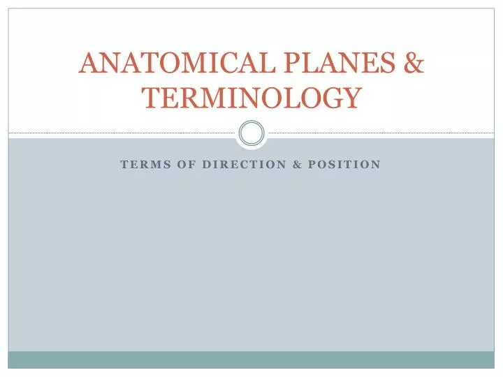 anatomical planes terminology