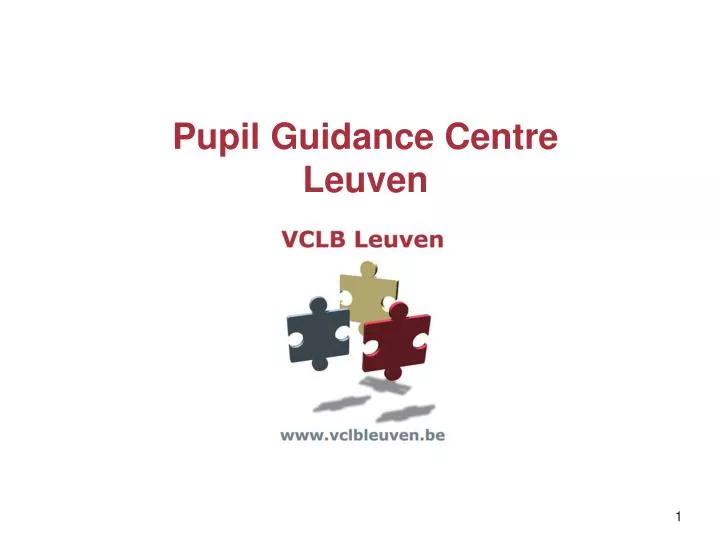 pupil guidance centre leuven