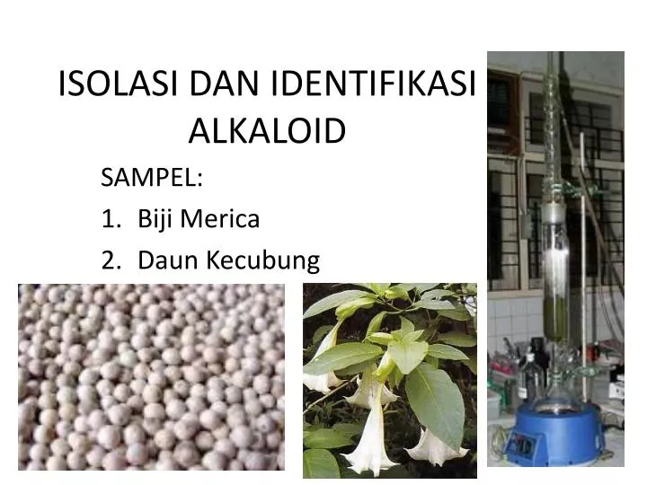 isolasi dan identifikasi alkaloid