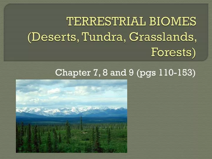 terrestrial biomes deserts tundra grasslands forests