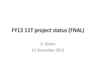 FY13 11T project status (FNAL)