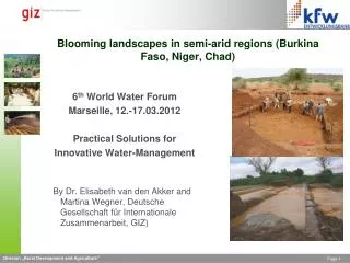 Blooming landscapes in semi-arid regions (Burkina Faso, Niger, Chad)