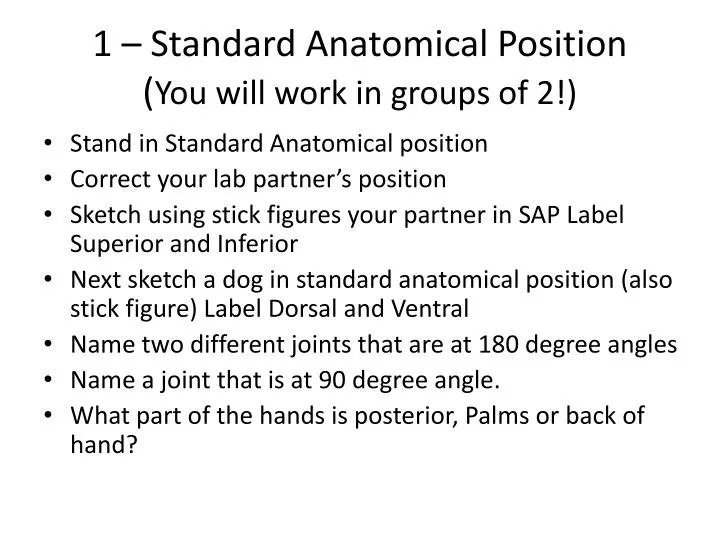 1 standard anatomical position you will work in groups of 2