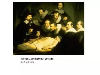 IMAGE 1 Anatomical Lecture