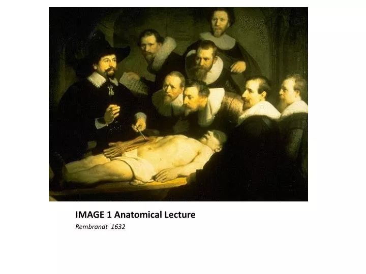 image 1 anatomical lecture