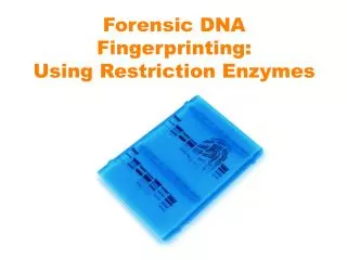 Forensic DNA Fingerprinting: Using Restriction Enzymes