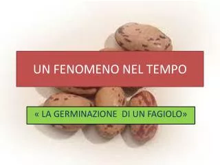 un fenomeno nel tempo