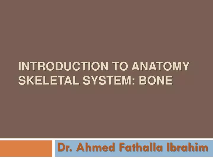 introduction to anatomy skeletal system bone