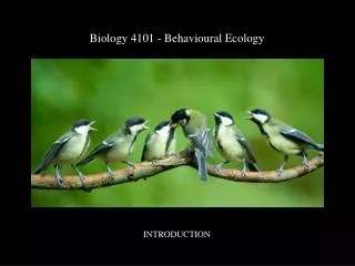 Biology 4101 - Behavioural Ecology