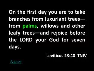 Leviticus 23:40 TNIV