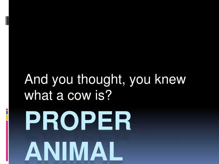 and you thought you knew what a cow is