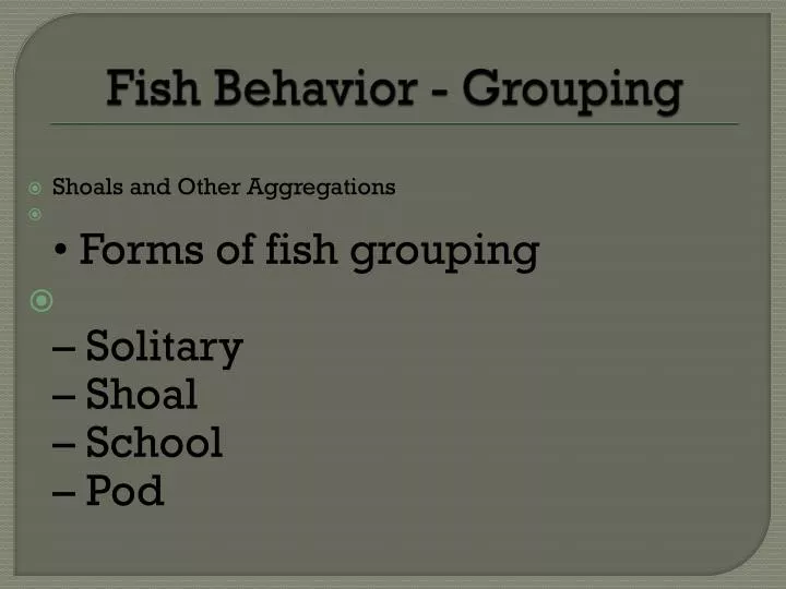 fish behavior grouping