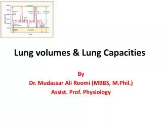 Lung volumes &amp; Lung Capacities