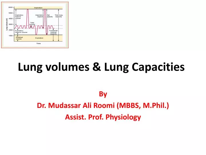 lung volumes lung capacities