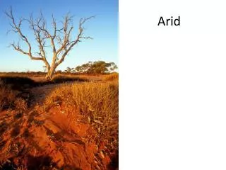 Arid