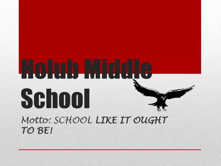 holub middle school