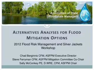 Alternatives Analyses for Flood Mitigation Options