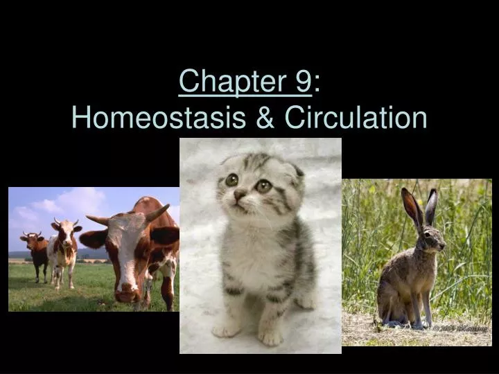 chapter 9 homeostasis circulation
