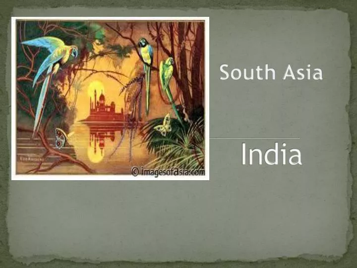south asia india