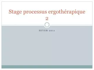 stage processus ergoth rapique 2