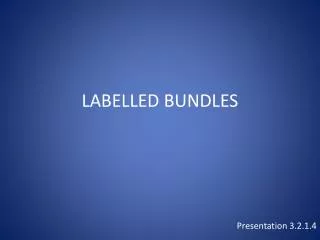 LABELLED BUNDLES