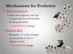 PPT - Chapter 20 Mechanisms For Evolution PowerPoint Presentation, Free ...