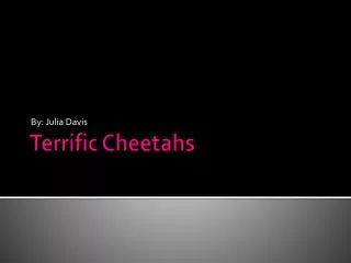 Terrific Cheetahs