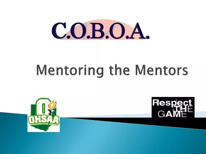 mentoring the mentors