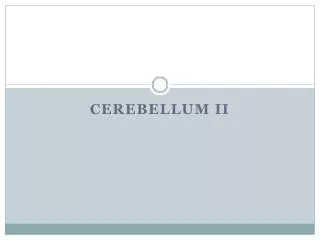 Cerebellum II