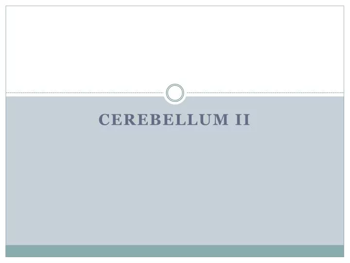 cerebellum ii