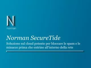 norman securetide