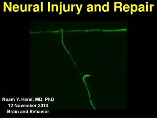 Neural Injury and Repair