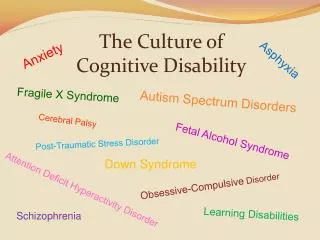 The Culture of Cognitive Disability