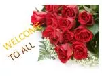 WELCOME TO ALL - slide 1