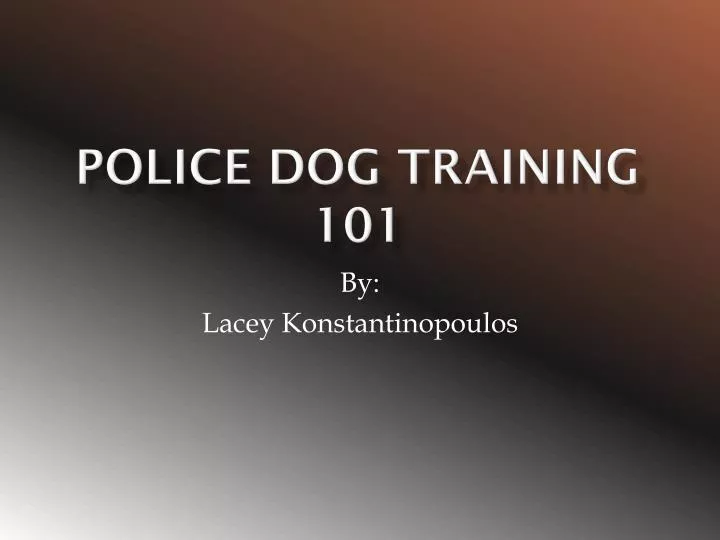 police dog training 101