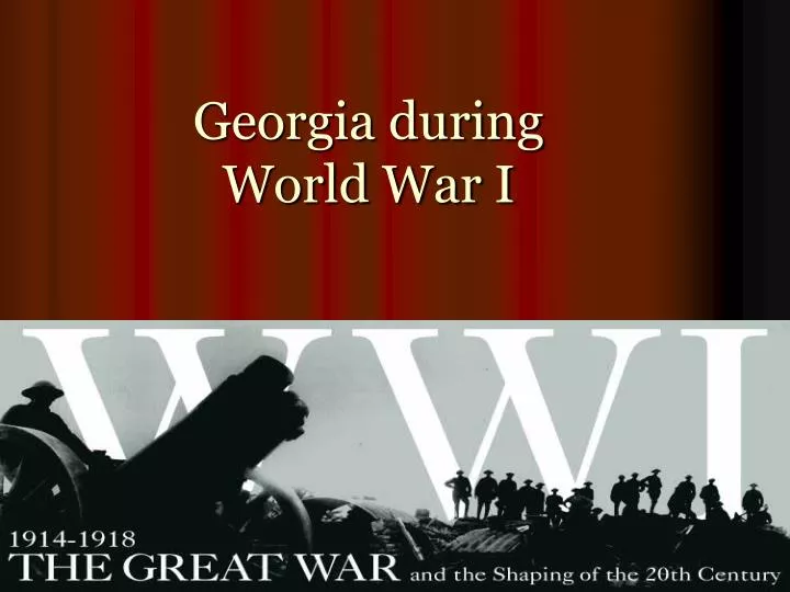 georgia during world war i