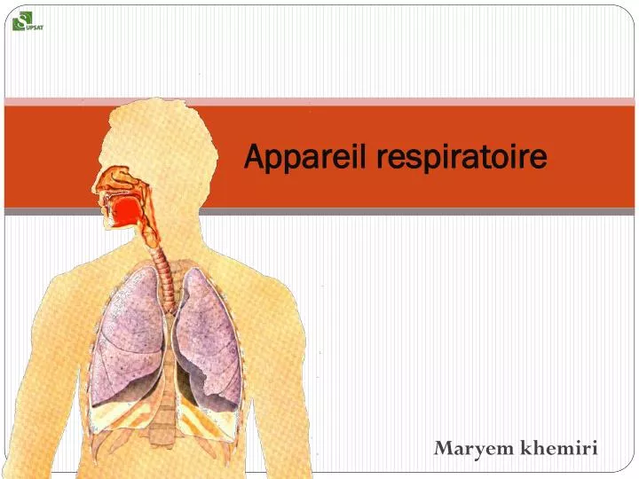 appareil respiratoire