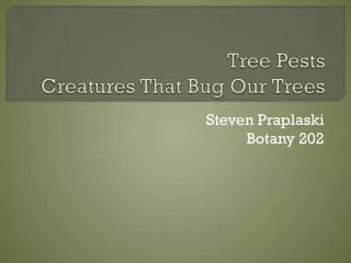 Tree Pests Creatures That Bug Our Trees