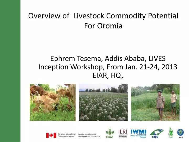 overview of livestock commodity potential for oromia