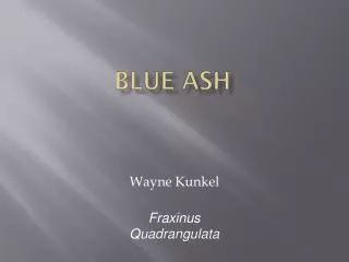 Blue Ash
