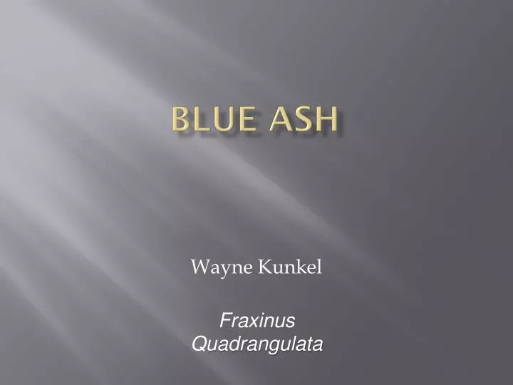blue ash