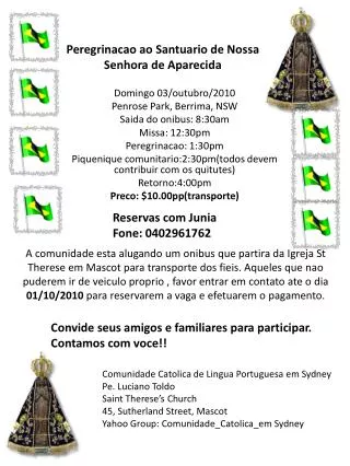 peregrinacao ao santuario de nossa senhora de aparecida