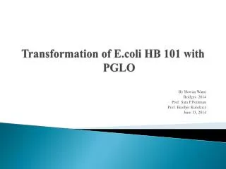 transformation of e coli hb 101 with pglo