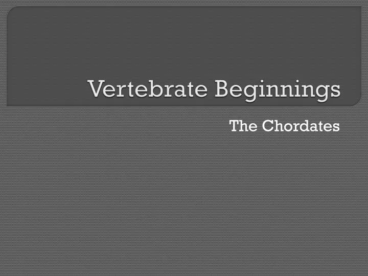 vertebrate beginnings