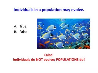 Individuals in a population may evolve.